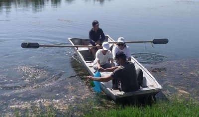 Сирдарё вилояти